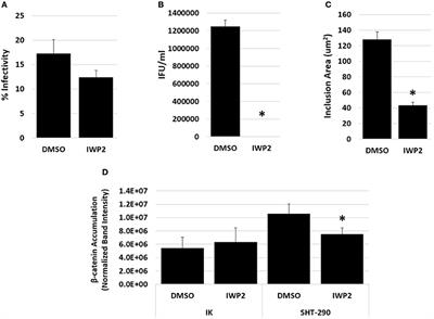 Inhibition of Wnt Signaling Pathways Impairs Chlamydia trachomatis Infection in Endometrial Epithelial Cells